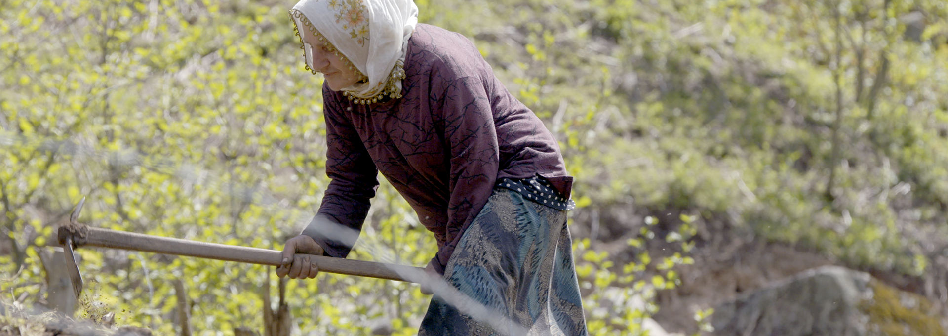 Doğanın Harikaları: Macahel’in muazzam ormanları, buzul gölleri ve alpin çayırlıkları, doğaseverler için göz kamaştırıcı manzaralar sunuyor.